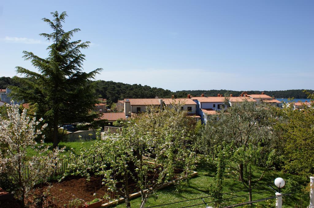 Apartments Cezar 温克兰 外观 照片